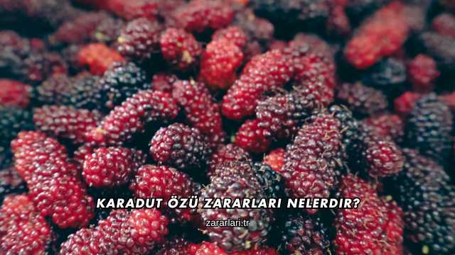 Karadut Özü Zararları Nelerdir?