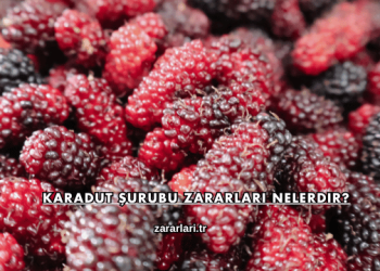 Karadut Şurubu Zararları Nelerdir?