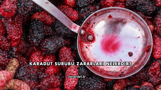 Karadut Şurubu Zararları Nelerdir?