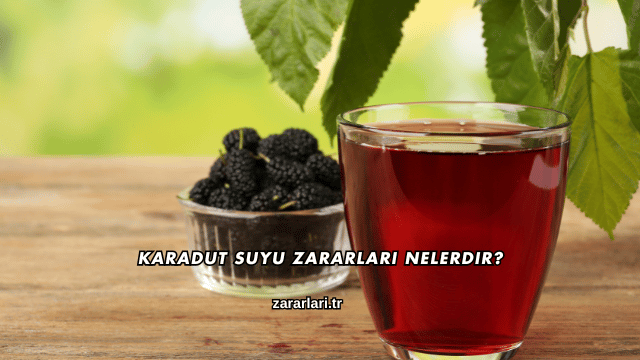 Karadut Suyu Zararları Nelerdir?