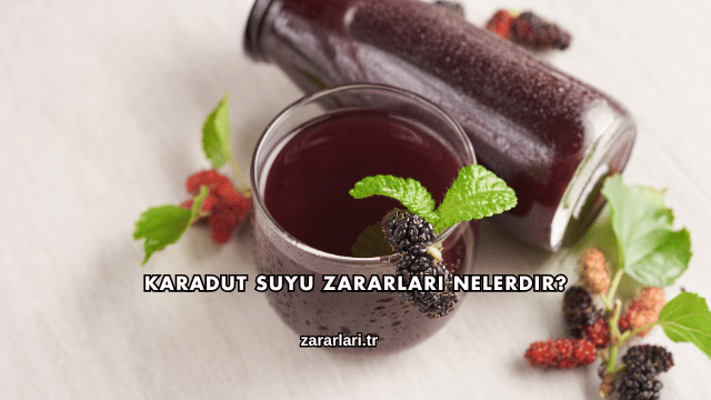 Karadut Suyu Zararları Nelerdir?