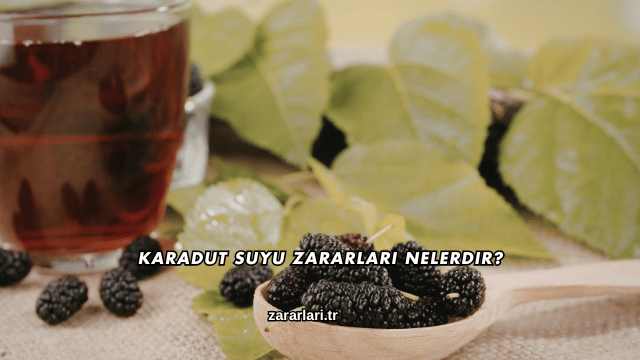 Karadut Suyu Zararları Nelerdir?
