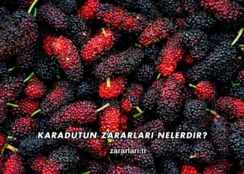 Karadutun Zararları Nelerdir?