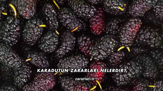 Karadutun Zararları Nelerdir?