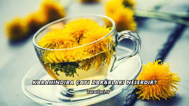 Karahindiba Çayı Zararları Nelerdir?