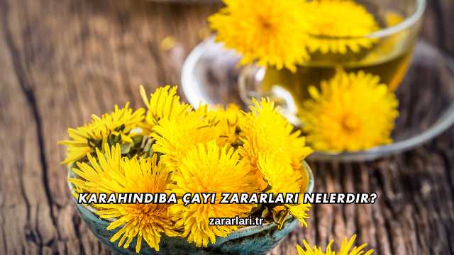 Karahindiba Çayı Zararları Nelerdir?