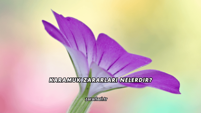 Karamuk Zararları Nelerdir?