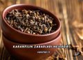 Karanfilin Zararları Nelerdir?