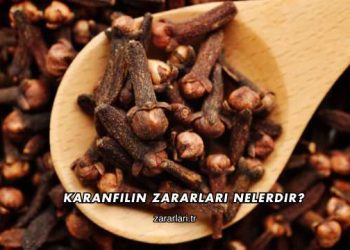 Karanfilin Zararları Nelerdir?