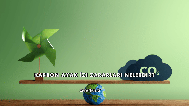 Karbon Ayak İzi Zararları Nelerdir?