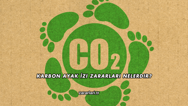 Karbon Ayak İzi Zararları Nelerdir?