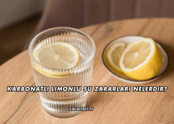 Karbonatlı Limonlu Su Zararları Nelerdir?