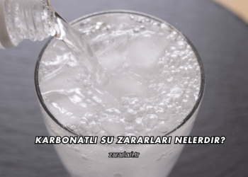 Karbonatlı Su Zararları Nelerdir?