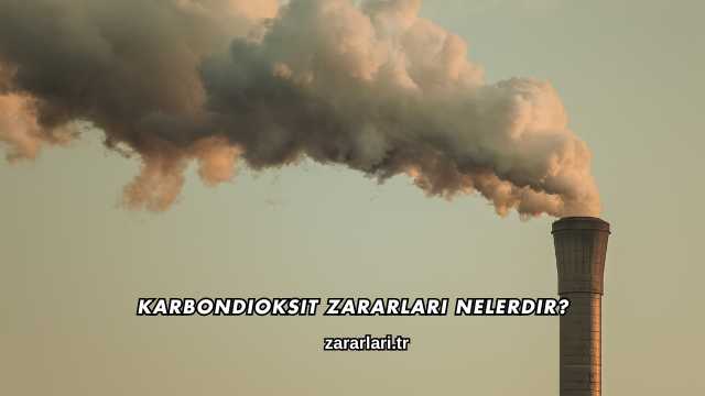 Karbondioksit Zararları Nelerdir?