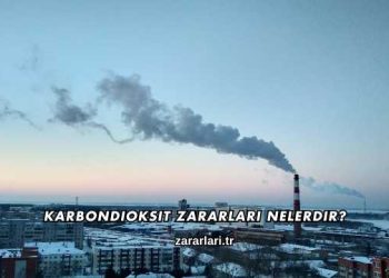 Karbondioksit Zararları Nelerdir?
