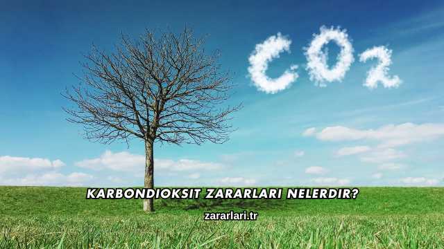 Karbondioksit Zararları Nelerdir?
