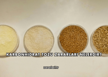 Karbonhidrat Tozu Zararları Nelerdir?