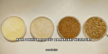 Karbonhidrat Tozu Zararları Nelerdir?