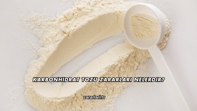 Karbonhidrat Tozu Zararları Nelerdir?