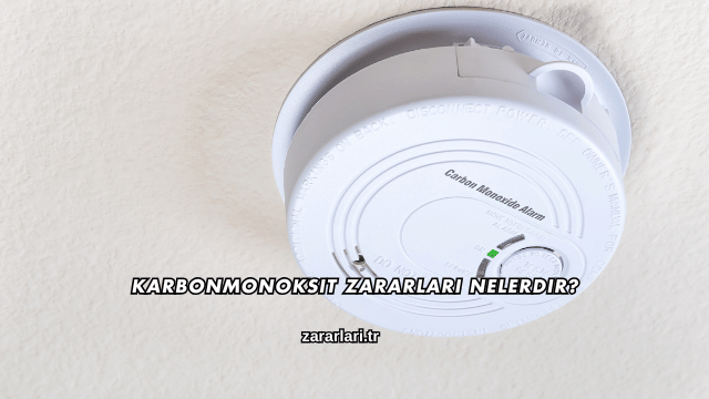 Karbonmonoksit Zararları Nelerdir?