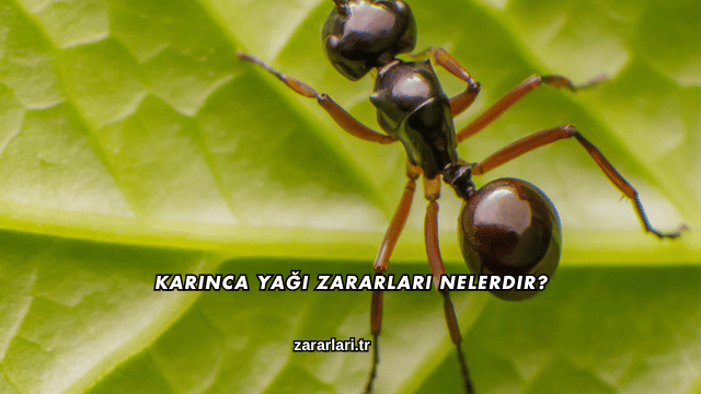 Karınca Yağı Zararları Nelerdir?