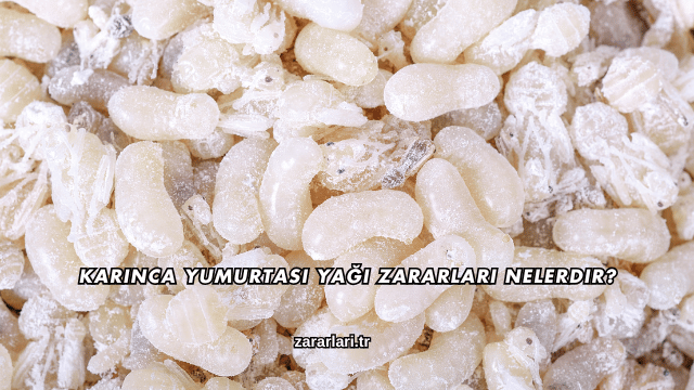 Karınca Yumurtası Yağı Zararları Nelerdir?