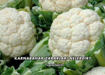 Karnabahar Zararları Nelerdir?