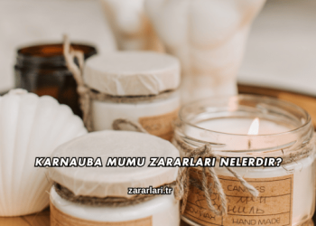 Karnauba Mumu Zararları Nelerdir?