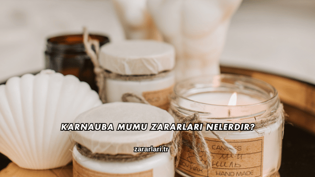 Karnauba Mumu Zararları Nelerdir?