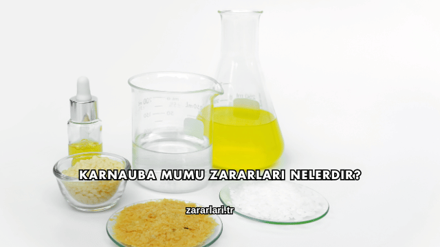 Karnauba Mumu Zararları Nelerdir?