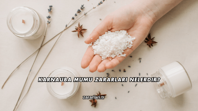 Karnauba Mumu Zararları Nelerdir?