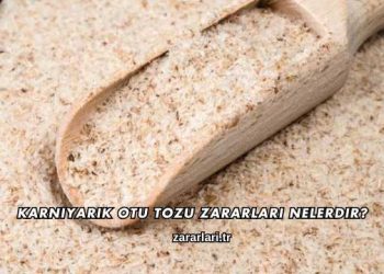 Karnıyarık Otu Tozu Zararları Nelerdir?