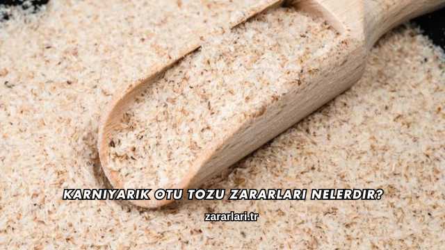 Karnıyarık Otu Tozu Zararları Nelerdir?