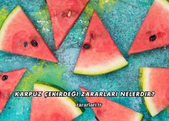 Karpuz Çekirdeği Zararları Nelerdir?