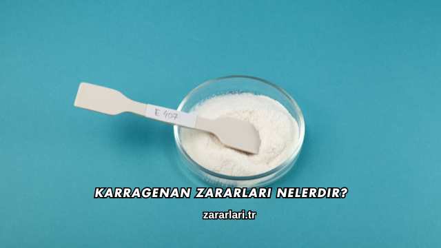 Karragenan Zararları Nelerdir?