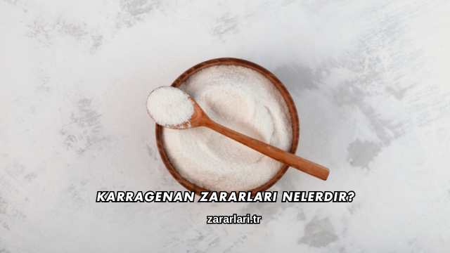 Karragenan Zararları Nelerdir?