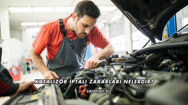 Katalizör İptali Zararları Nelerdir?