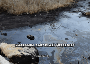 Katranın Zararları Nelerdir?