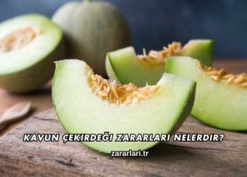 Kavun Çekirdeği Zararları Nelerdir?