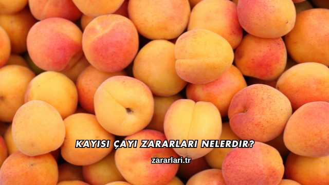 Kayısı Çayı Zararları Nelerdir?