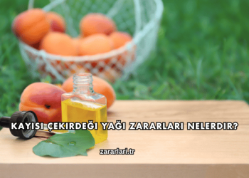 Kayısı Çekirdeği Yağı Zararları Nelerdir?