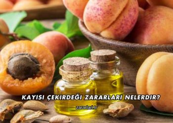 Kayısı Çekirdeği Zararları Nelerdir?