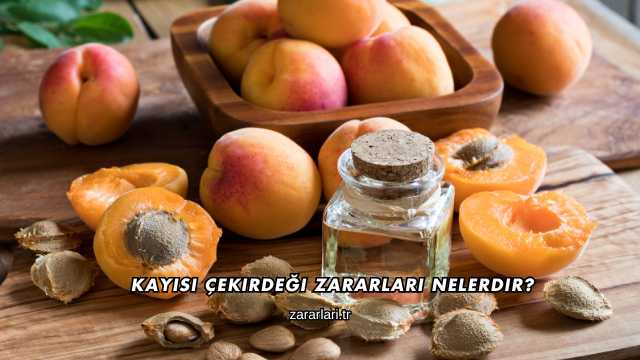 Kayısı Çekirdeği Zararları Nelerdir?