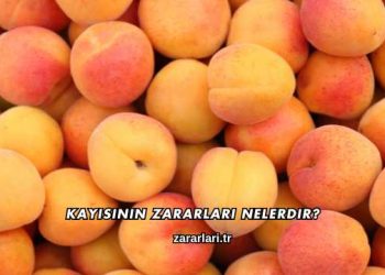 Kayısının Zararları Nelerdir?