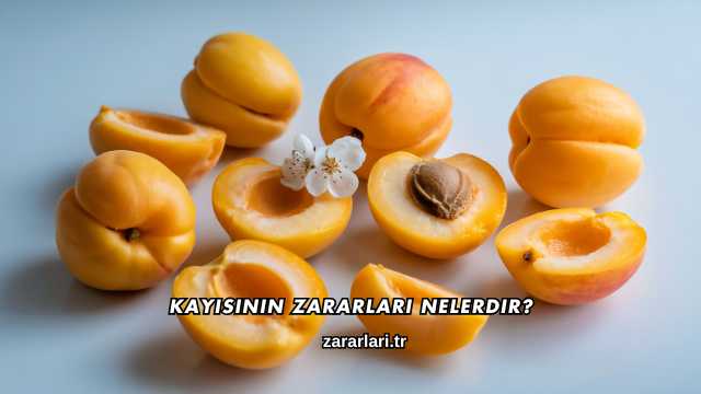 Kayısının Zararları Nelerdir?