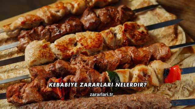 Kebabiye Zararları Nelerdir?