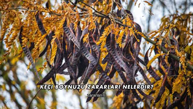 Keçi Boynuzu Zararları Nelerdir?