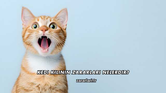 Kedi Kılının Zararları Nelerdir?