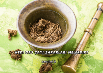 Kedi Otu Çayı Zararları Nelerdir?