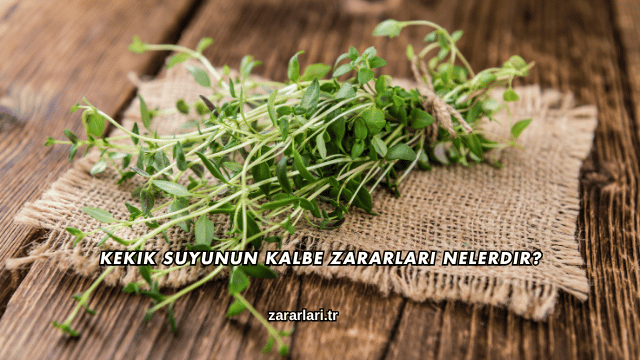 Kekik Suyunun Kalbe Zararları Nelerdir?